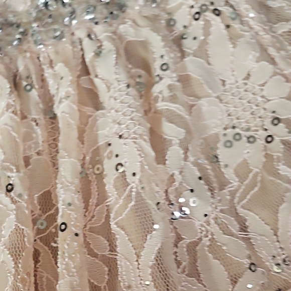 Elegant Lace Dress with Sequin Details - Picture 6 of 9